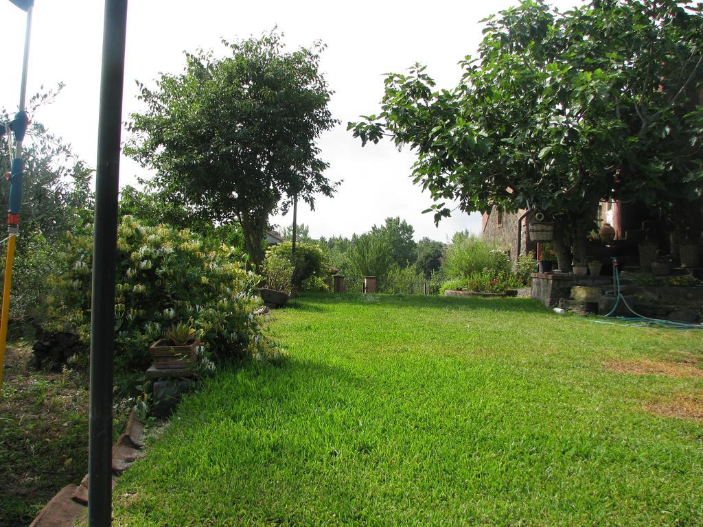 Domus Vini Villa San Giovanni la Punta Szoba fotó